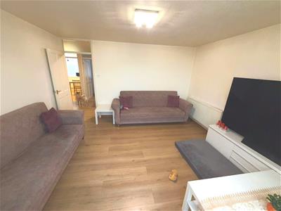 Picture 12
